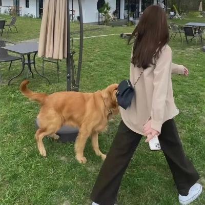 火鸡碗
